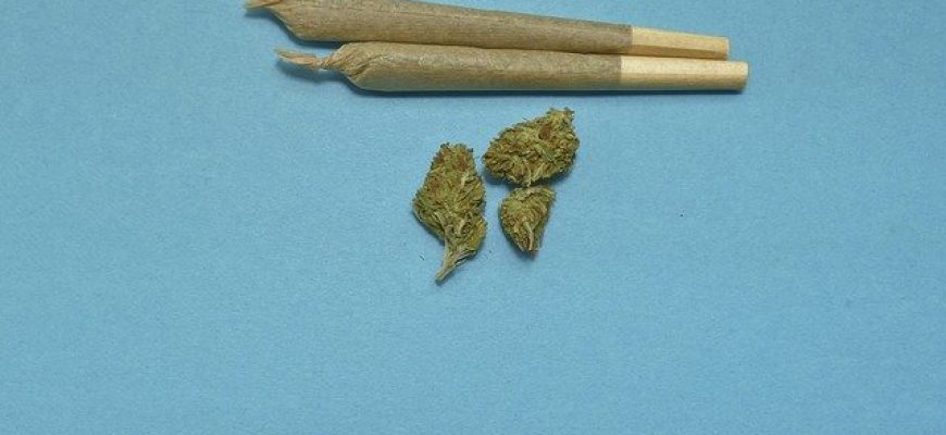 רישיון קנאביס – מי זכאי